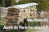 01 Reichenbach